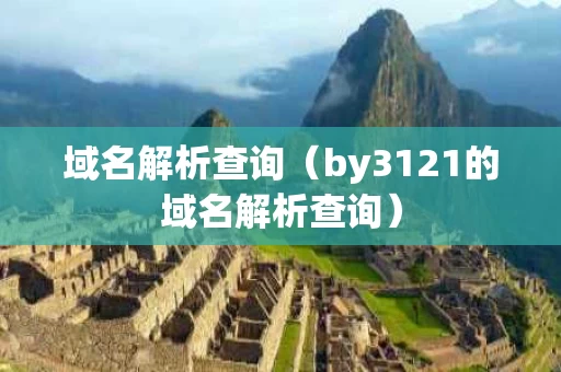域名解析查询（by3121的域名解析查询）