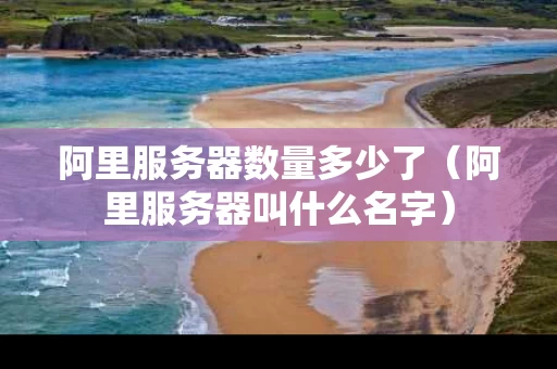 阿里服务器数量多少了（阿里服务器叫什么名字）