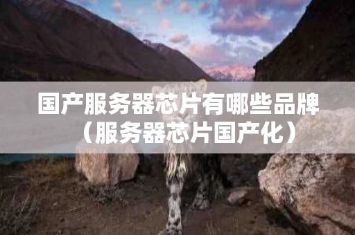 国产服务器芯片有哪些品牌（服务器芯片国产化）
