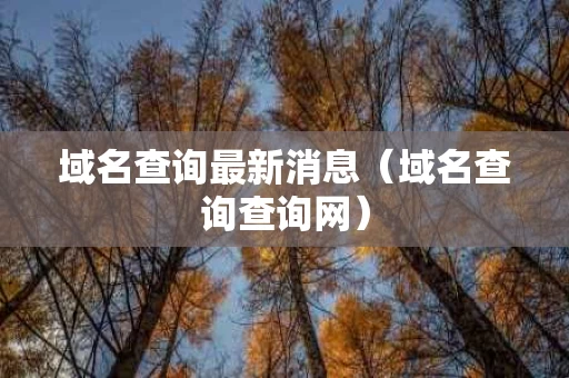 域名查询最新消息（域名查询查询网）