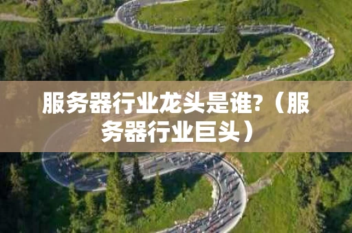 服务器行业龙头是谁?（服务器行业巨头）