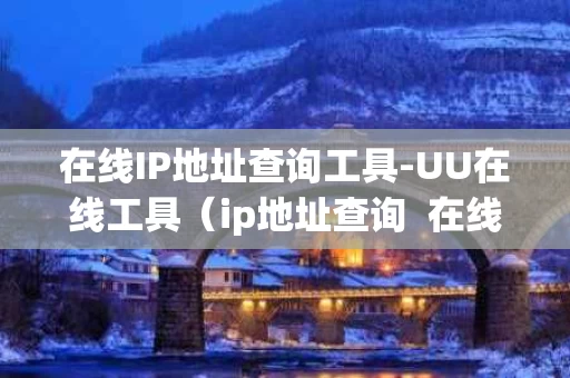 在线IP地址查询工具-UU在线工具（ip地址查询  在线工具）