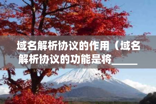 域名解析协议的作用（域名解析协议的功能是将______转换成_____）