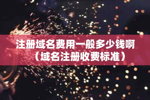 注册域名费用一般多少钱啊（域名注册收费标准）