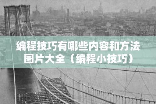 编程技巧有哪些内容和方法图片大全（编程小技巧）