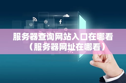 服务器查询网站入口在哪看（服务器网址在哪看）