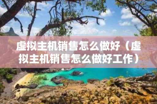虚拟主机销售怎么做好（虚拟主机销售怎么做好工作）