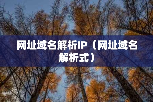 网址域名解析IP（网址域名解析式）