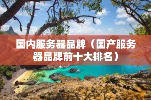 国内服务器品牌（国产服务器品牌前十大排名）