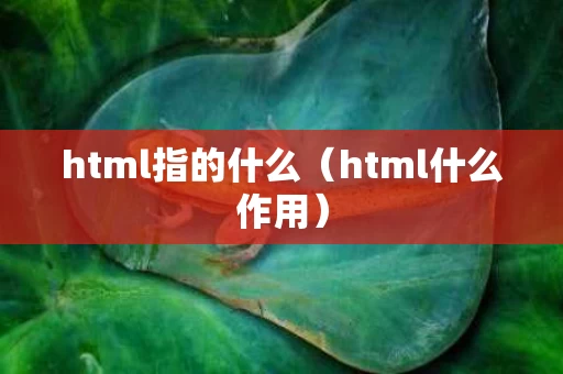 html指的什么（html什么作用）