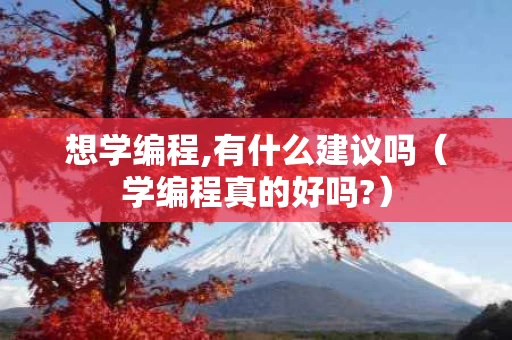 想学编程,有什么建议吗（学编程真的好吗?）