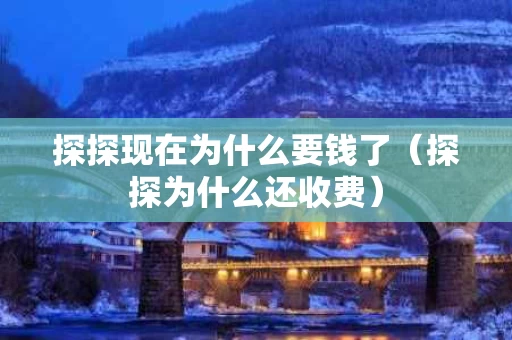 探探现在为什么要钱了（探探为什么还收费）