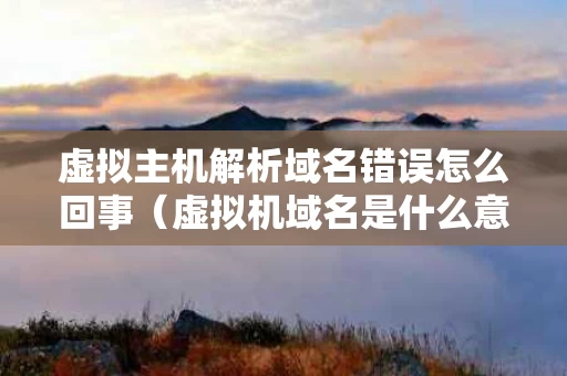 虚拟主机解析域名错误怎么回事（虚拟机域名是什么意思）
