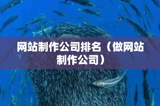 网站制作公司排名（做网站制作公司）