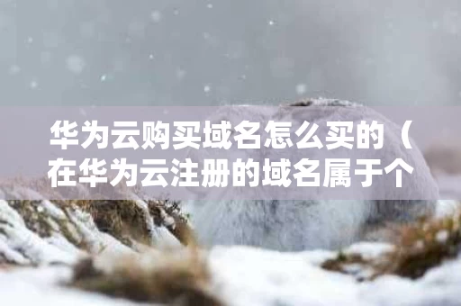 华为云购买域名怎么买的（在华为云注册的域名属于个人）