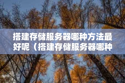 搭建存储服务器哪种方法最好呢（搭建存储服务器哪种方法最好呢视频）