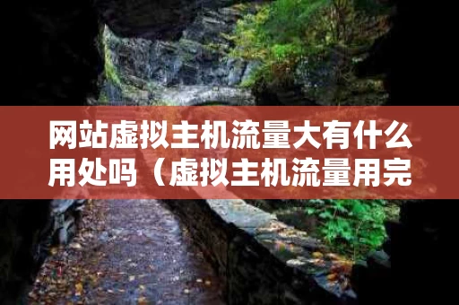 网站虚拟主机流量大有什么用处吗（虚拟主机流量用完会怎么样）