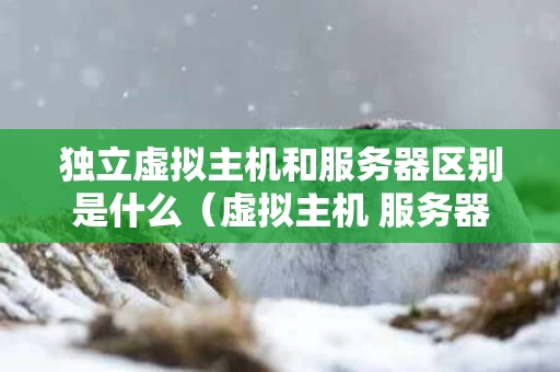 独立虚拟主机和服务器区别是什么（虚拟主机 服务器 区别）