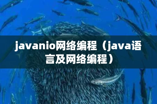 javanio网络编程（java语言及网络编程）