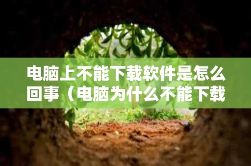 电脑上不能下载软件是怎么回事（电脑为什么不能下载软件怎么办）
