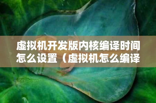 虚拟机开发版内核编译时间怎么设置（虚拟机怎么编译运行一个c程序）