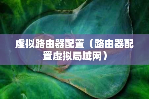 虚拟路由器配置（路由器配置虚拟局域网）