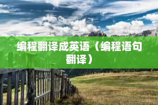 编程翻译成英语（编程语句翻译）