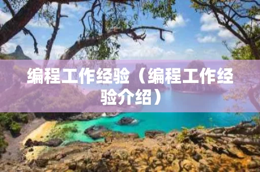 编程工作经验（编程工作经验介绍）