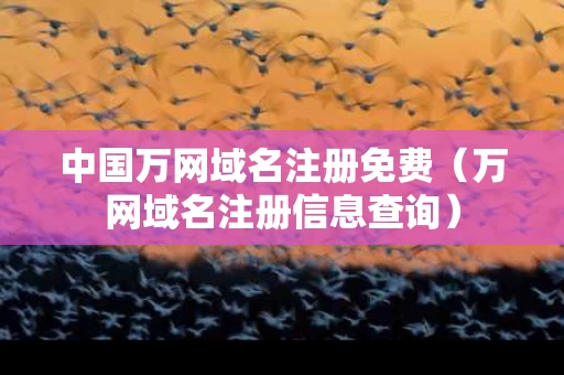 中国万网域名注册免费（万网域名注册信息查询）