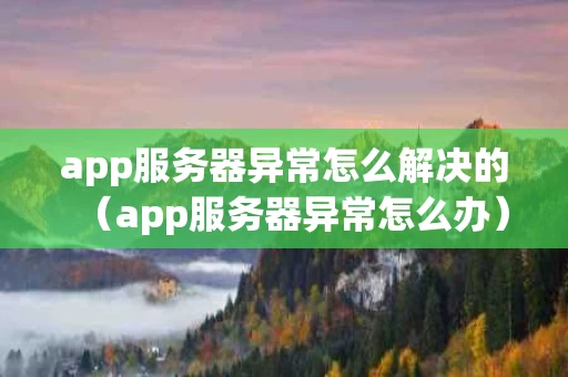 app服务器异常怎么解决的（app服务器异常怎么办）