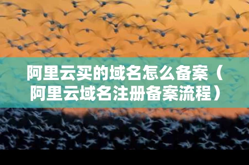 阿里云买的域名怎么备案（阿里云域名注册备案流程）