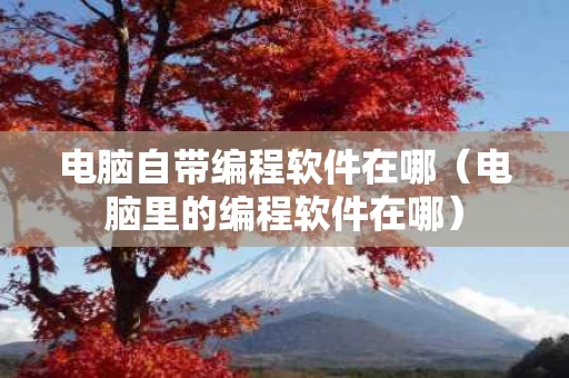 电脑自带编程软件在哪（电脑里的编程软件在哪）