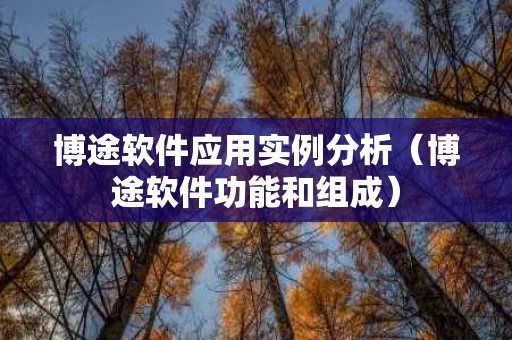 博途软件应用实例分析（博途软件功能和组成）