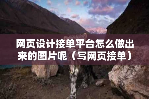 网页设计接单平台怎么做出来的图片呢（写网页接单）