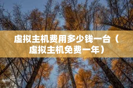 虚拟主机费用多少钱一台（虚拟主机免费一年）