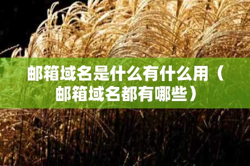 邮箱域名是什么有什么用（邮箱域名都有哪些）
