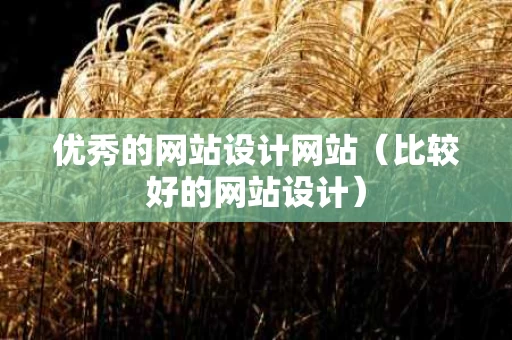 优秀的网站设计网站（比较好的网站设计）