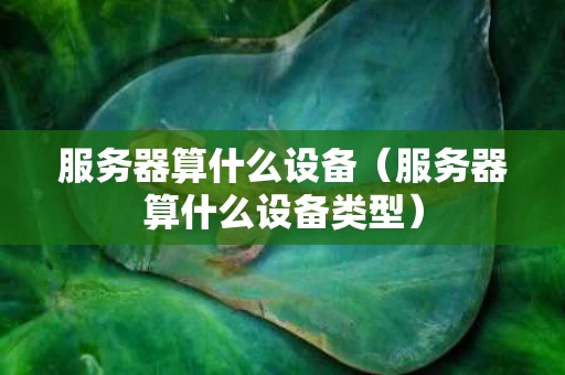 服务器算什么设备（服务器算什么设备类型）