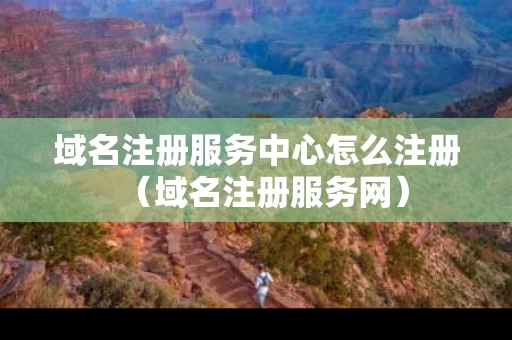 域名注册服务中心怎么注册（域名注册服务网）