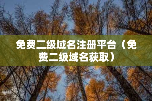 免费二级域名注册平台（免费二级域名获取）