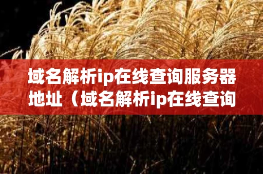域名解析ip在线查询服务器地址（域名解析ip在线查询反查）