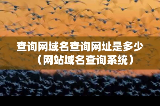 查询网域名查询网址是多少（网站域名查询系统）