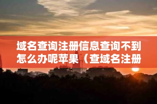 域名查询注册信息查询不到怎么办呢苹果（查域名注册详细信息查询）