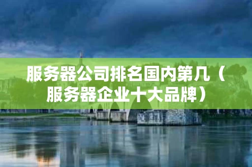 服务器公司排名国内第几（服务器企业十大品牌）