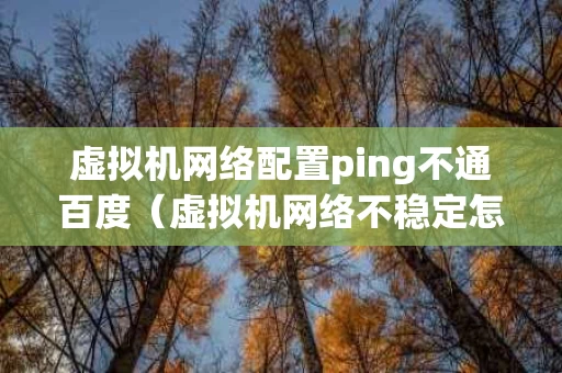 虚拟机网络配置ping不通百度（虚拟机网络不稳定怎么解决）