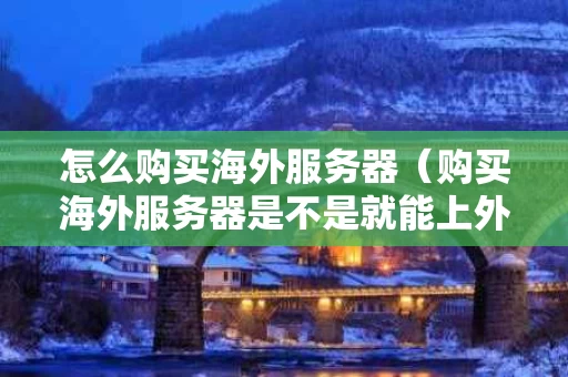 怎么购买海外服务器（购买海外服务器是不是就能上外网了）