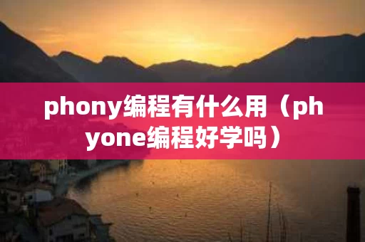 phony编程有什么用（phyone编程好学吗）