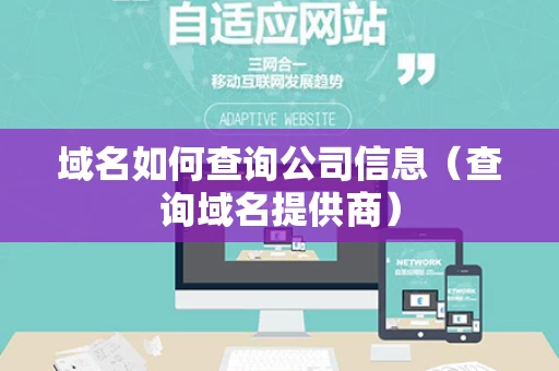 域名如何查询公司信息（查询域名提供商）