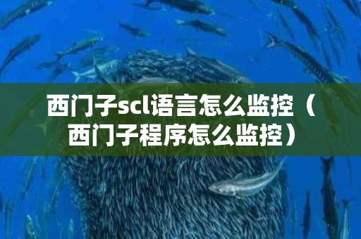 西门子scl语言怎么监控（西门子程序怎么监控）