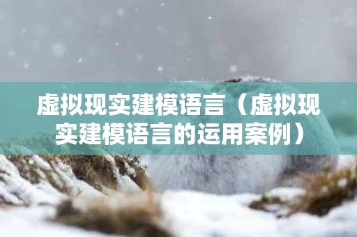 虚拟现实建模语言（虚拟现实建模语言的运用案例）